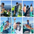 ５／３０(土)
