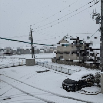 【シニアの暮らし】雪、積もってます。。