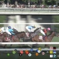 【競馬】アドマイヤテラをあそこまで走らせてた武豊ってとんでもなく上手くないか？
