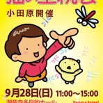 三度の飯＜犬と猫