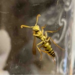 庭の生き物を愛でてます・台所で生き物を育ててます