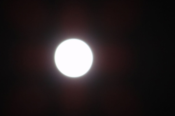 似非管理者の寂しい夜 12