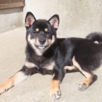 churahamaのブログ