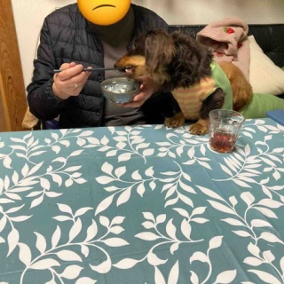 メルロコ一家の横須賀ストーリー