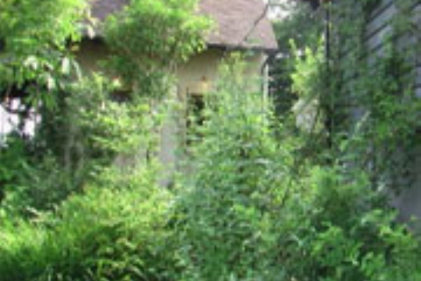 自然な庭 アルゼラブ 作り方