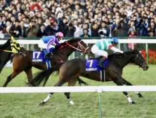 【マイルＣＳ2025予想】