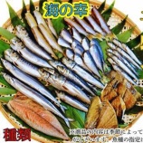『ふるさと特産品　大和水産のおまかせ干物セット』の画像