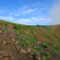 夏の花咲く那須連山へ