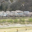 懐かしいかな　桜の中を走る東武6050系