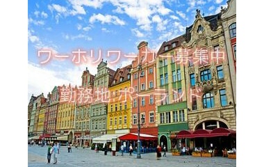 『ポーランドワーホリ求人情報』の画像