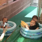 認定こども園 伊敷幼稚園「楽しさと感動の出会い」