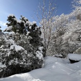 『1月のあれこれ』の画像