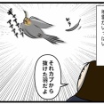 驚くとスリムになる鳥