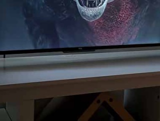 テレビに恐ろしい生き物が映った。あれは何？ → 隣りにいる彼女はこんな様子です…
