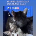 【モバイルスペイ】