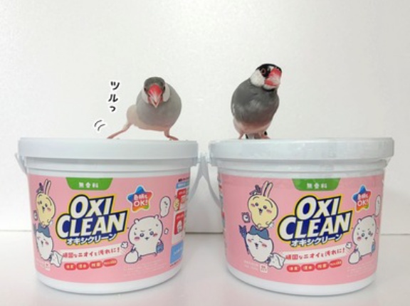 ジルだけが滑るんですよ