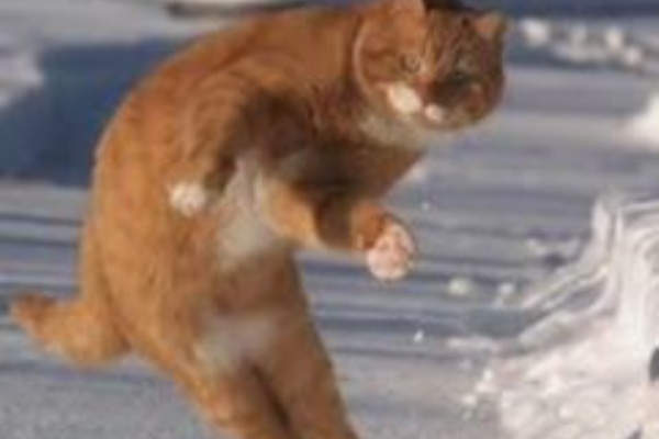 バズえもん バズったツイートまとめ 2019