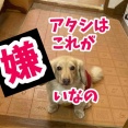 暑い日はこれだね。