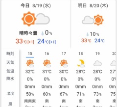 31,6℃