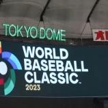 『WBCに大谷翔平が出なかったらどうなる?』の画像