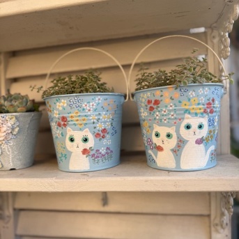 ＊晩秋の小庭、紅葉だったり春と間違えてたり(＊¯艸¯)