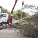 熊本のむし歯予防と矯正,インプラント,歯周病に燃えるけやき通り歯科医院のブログ