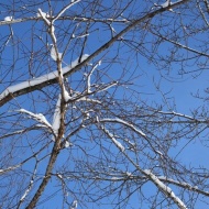 【犬のいる幸せ】あれ！いいかも？とプライドをかなぐり捨てる（笑）