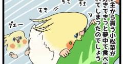 鳥さんの羽が緑色に汚れる理由とは…………？