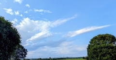 晴れない夏