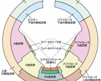 【画像】オリックスさん、阪神ファン対策をしてしまう…