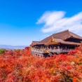 【朗報】京都さんの衰退が始まった理由ｗｗｗｗｗｗｗｗｗｗ