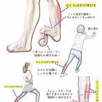 きんにく様の言うとおり
