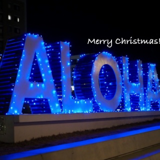 湘南凸凹柴WAN日記