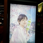 タッド星谷の雑記帳