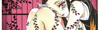 「鬼滅の刃」の竈門禰豆子とかいう絶妙すぎるキャラｗｗｗｗｗｗ