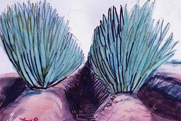 池や沼の生きもの　　水彩画 世界で1枚の絵 水彩画原画「木戸池」 | iichi 日々の暮らしを