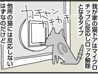 もしかして、そこに居るのは...？