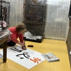 NPO犬猫みなしご救援隊・代表ブログ・みなしご庵へようこそ