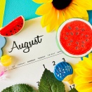 8月の読書習慣で感じる、夏の余韻と新たな一歩