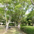 大学受験英語個人レッスン　その64