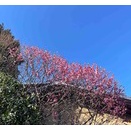 気持ちを書き出す。