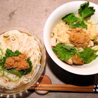 土佐料理　旬の鰹がゆく！