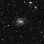 星夜思