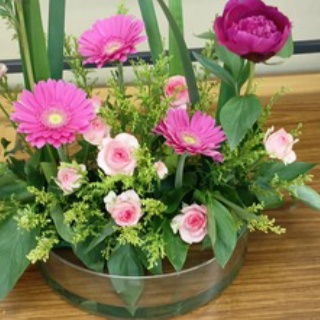 文ちゃんの更科日記