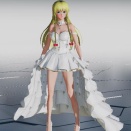 マリアージュドレスを手に入れた