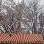 店長の犬猫な日々　山形ペットショップ　店長　ブログ