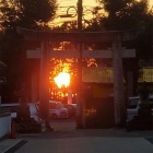 『参道一の鳥居に沈む夕日』の画像