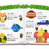 『【多肉植物】担当イチオシ　ミニ多肉植物＆ポリ製鉢』の画像
