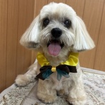 kamcのblog