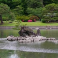 5月末の六義園と旧古河庭園Ⅱ